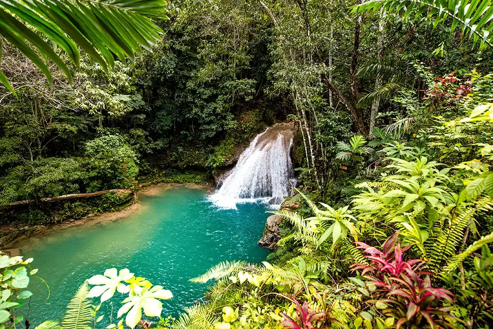 Waterfall and turquoise pool surrounded by tropical rainforest in Jamaica