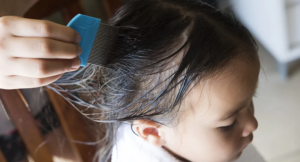 Fine-toothed detection comb being drawn through a child’s wet hair