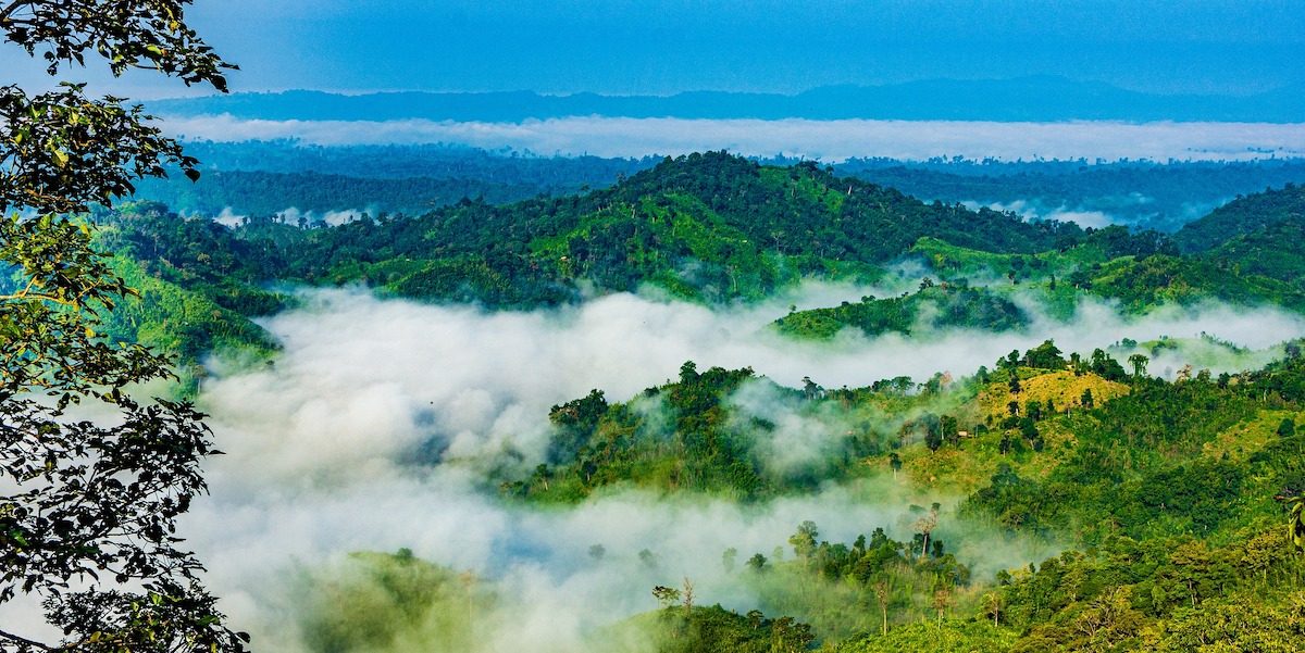 Green hills and morning mist over rural Bangladesh